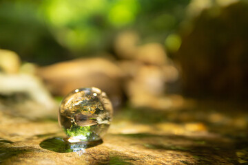 森林と水晶玉