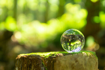 苔と水晶玉