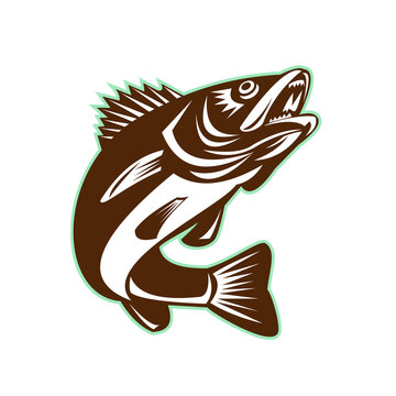 Walleye Fish Jumping Isolated Retro