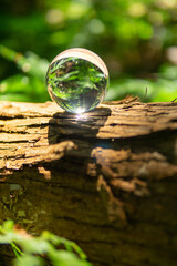 苔と水晶玉