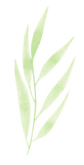Watercolor design elements of green leaves. Botanic illustration.