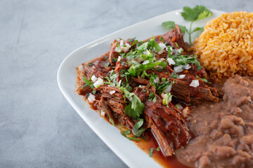 A closeup view of a birria plate.