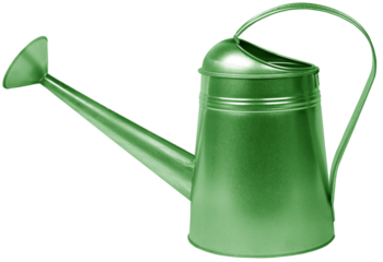 Green metal watering can isolated