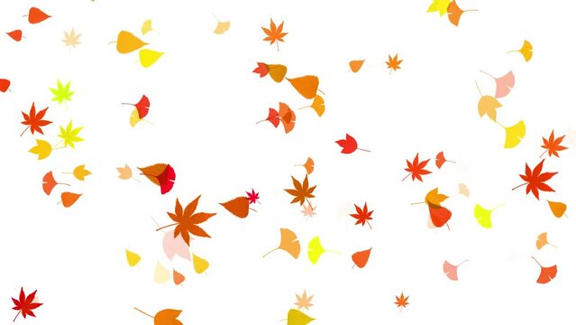 background loop autumn