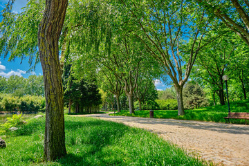 Fototapeta na wymiar A gravel road inside the botanical park during sunny day