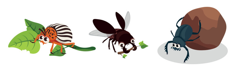 Set of colorful beetles in cartoon style. Vector illustration of the Colorado potato beetle, the dung beetle pushes a ball of mud and the stag beetle flies with branches on white background.