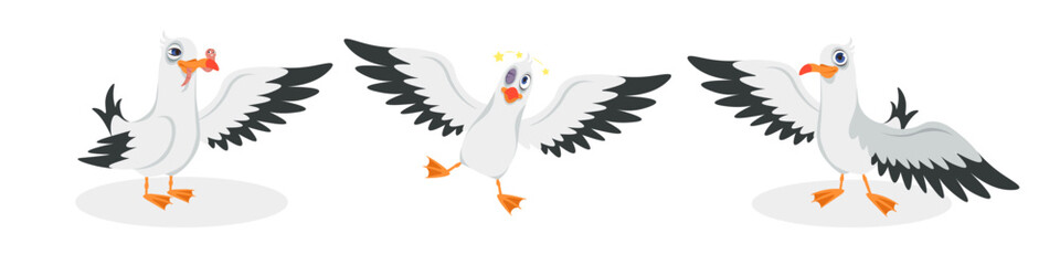 Vector illustration of cute and beautiful seagulls on white background. Charming characters in different poses found a worm, fell with a black eye after a blow, said hello in cartoon style.