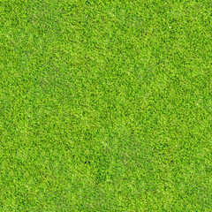 Fototapeta premium Seamless Grass Texture. Lawn, meadow. Golf, football, baseball, tennis. Land plot, stadium, yard. Aesthetic background for design, advertising, 3d. Empty space for inscriptions. Eco coating.