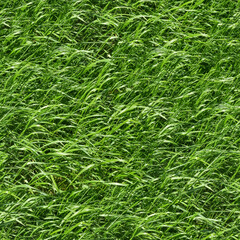 Seamless Grass Texture. Lawn, meadow. Golf, football, baseball, tennis. Land plot, stadium, yard. Aesthetic background for design, advertising, 3d. Empty space for inscriptions. Eco coating.