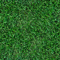 Seamless Grass Texture. Lawn, meadow. Golf, football, baseball, tennis. Land plot, stadium, yard. Aesthetic background for design, advertising, 3d. Empty space for inscriptions. Eco coating.