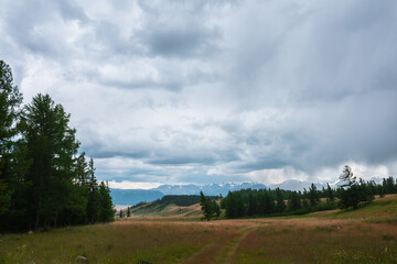 Obraz premium Gloomy alpine landscape with dark green coniferous forest and high snowy mountain range during rain under cloudy sky. Dark atmospheric scenery with conifer forest and large snow mountains in overcast.