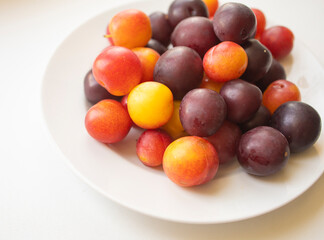 yellow and purple plums on a white plate. Isolate, healthy fruit dessert, cherry plum. Delicious snack, seasonal harvest. Fruits on white, fruit plate of plums