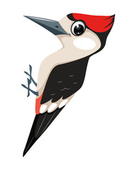 Bird woodpecker cartoon illustration in flat style - obrazy, fototapety, plakaty