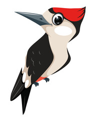 Woodpecker cartoon illustration in flat style