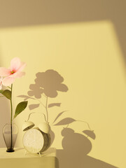 Aesthetic cosmos flower indoor scene with silhouette shadow 3D render