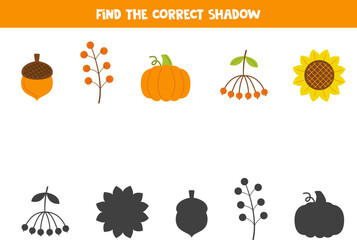 Find the correct shadows of cute autumn elements. Logical puzzle for kids.