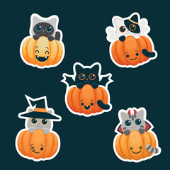 Halloween cats in carnival costumes with smiling pumpkins. Bright sir vector illustrations. 