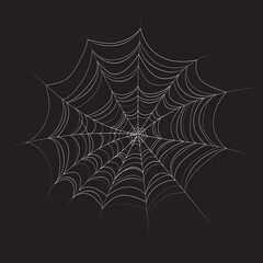 white cobweb on black background