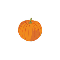 pumpkin isolated on transparent 
