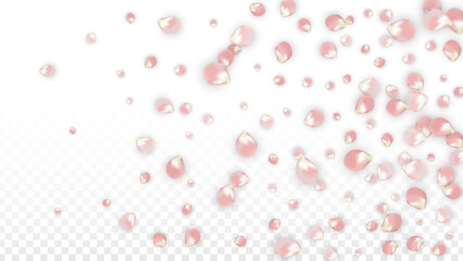 Pink Vector Realistic Petals Falling on Transparent Background.  Spring Romantic Flowers Illustration. Flying Petals. Sakura Spa Design. Blossom Confetti. Design Elements for Wedding Decoration.