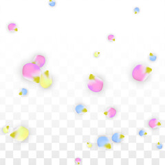 Vector Realistic Colorful Petals Falling on Transparent Background.  Spring Romantic Flowers Illustration. Flying Petals. Sakura Spa Design. Blossom Confetti. Design Elements for Wedding Decoration.