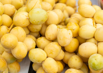Ripe raw yellow dates for sale at the farmers market