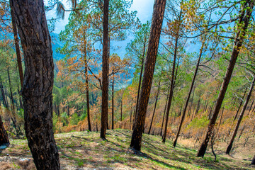 Tehri lake surrounded by mountains in Uttarakhand, india, Tehri Lake is an artificial dam reservoir. Tehri Dam, the tallest dam in India and Tehri dam is Asia's largest man-made lake.