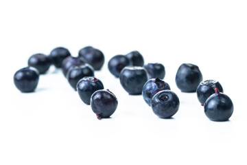 Healthy Organic Eating. Variety of Fresh Forest Blueberries With Shallow Depth of Field Isolated on white Background