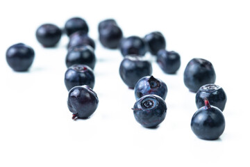 Organic Eating Concepts. Fresh Forest Blueberries With Shallow Depth of Field Isolated on white Background