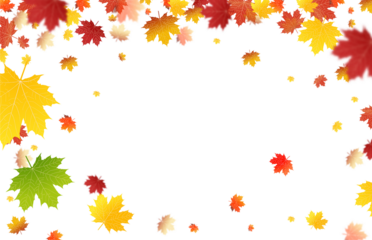 PNG. Autumn leaves on isolated transparent background. The wind blows off the leaves, the wind blows.