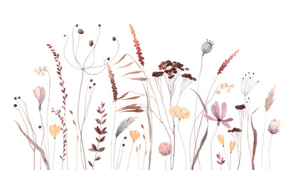 Autumn meadow. Cute watercolor flowers horizontal border isolated on white background. Illustration for card, border, banner or your other design.