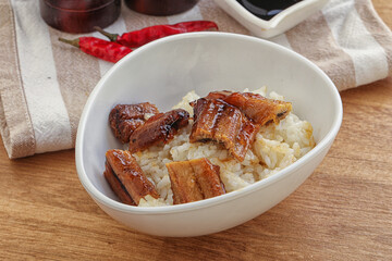 Roasred eel with steamed rice