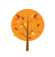 autumn tree vector illustration
