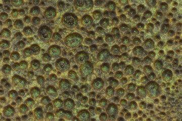 Metal rust texture- abstract art background. 3d illustration