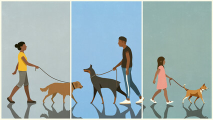 People walking dogs on leashes
