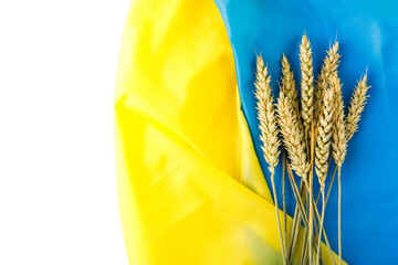 Ears of wheat on Ukrainian national flag. Symbols of Ukraine. Blue and yellow colors. Close up...