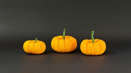 Three orange pumpkins isolated on black background with copy space. Decorative small squash for Halloween decoration. Autumn rich harvest of pumpkins.