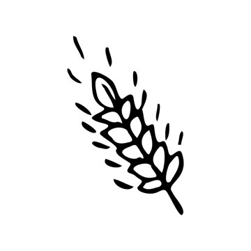 Wheat black icon on white background hand drawing doodle style