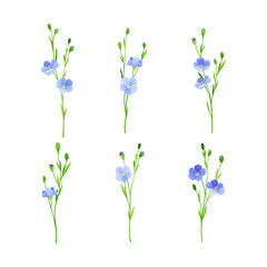 Fototapeta na wymiar Flax or Linseed as Cultivated Flowering Plant Species with Pale Blue Flowers on Stem Vector Set