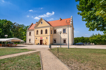 The Mecinski Palace, now a district cultural center, houses the Regional Museum, Dzialoszyn, Lodz Voivodeship, Poland