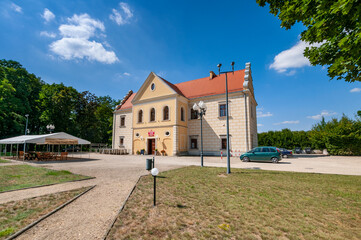 The Mecinski Palace, now a district cultural center, houses the Regional Museum, Dzialoszyn, Lodz Voivodeship, Poland