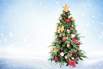 one Christmas tree outdoors in the snow