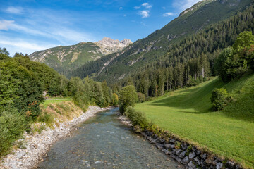 Obraz premium Api Svizzere e Tirolo