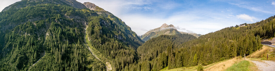 Api Svizzere e Tirolo