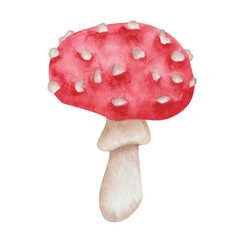 Watercolor illustration of hand painted mushroom in red and white colors. Inedidle fungus. Flybane. Nature, woodland forest plant. Isolated food clip art for autumn textile prints, cards, stickers