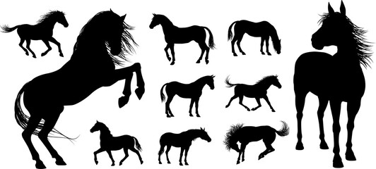 Horse Silhouettes © Christos Georghiou