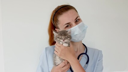 Striped gray cat in doctor hands. Kitten vet examining. Kitten pet check up, vaccination in veterinarian animal clinic.Health care domestic animal. Long Web banner Copy space. High quality 4k footage