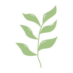 tropical leaves icon
