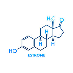 Estrone formula. Estrogens vector chemical formulas. Vector illustration