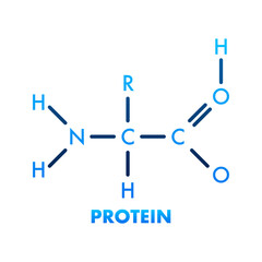 Sketch icon. Creative vector illustration. Protein. Structural chemical formula